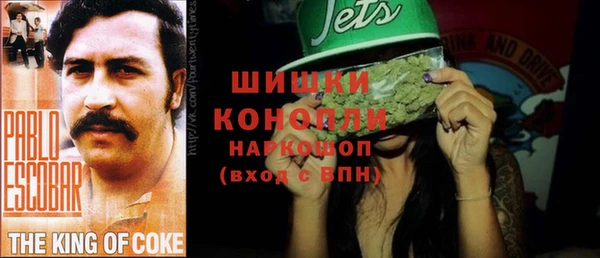 apvp Белокуриха