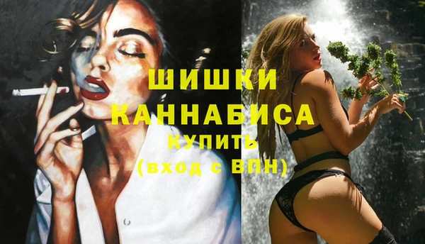 apvp Белокуриха